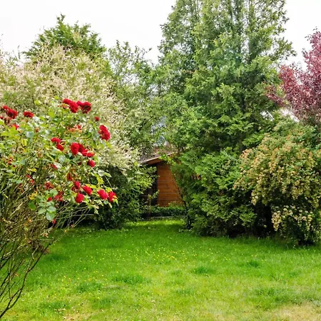 Luise Knuttweg 6 * Dornum